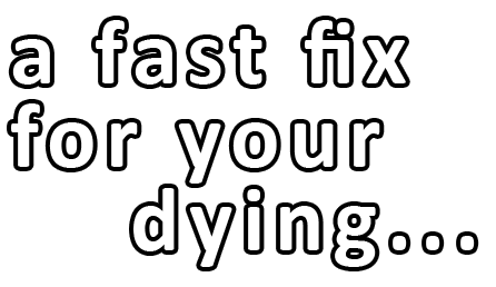 "a fast fix for your dying..." text for E-MetroTel double carousel.